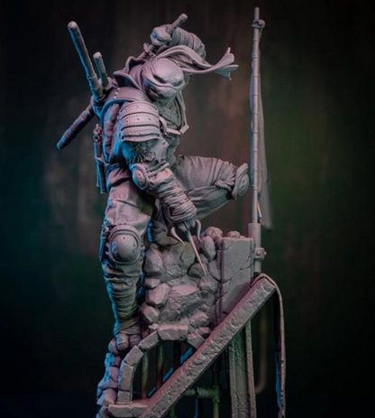 Estátua Colecionador - TMNT Ronin