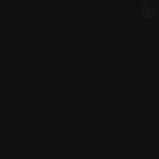 Collector's Statue - Fencer Clair Obscur: Expedition 33