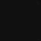 Estátua Colecionador - Griffith